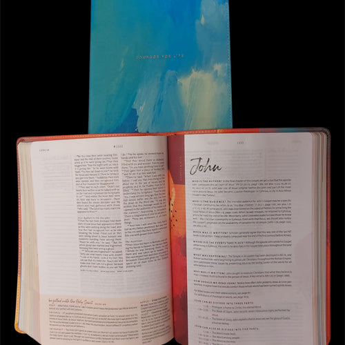 NLT Courage for Life Study Bible for Women