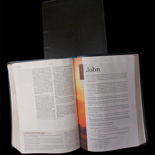 NLT Courage for Life Study Bible for Men