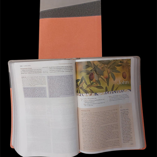 NIV Application Bible